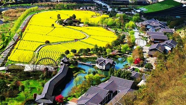 首页|尊龙集团中国官方网站